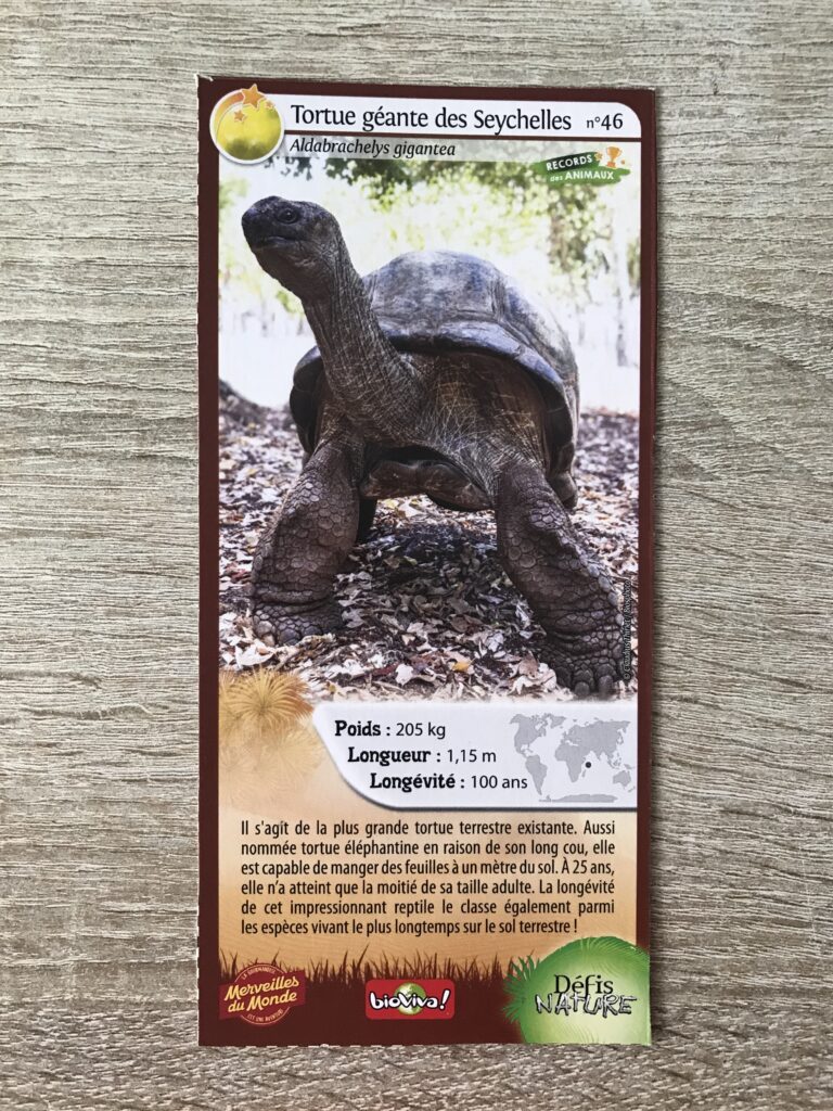 Face de la carte