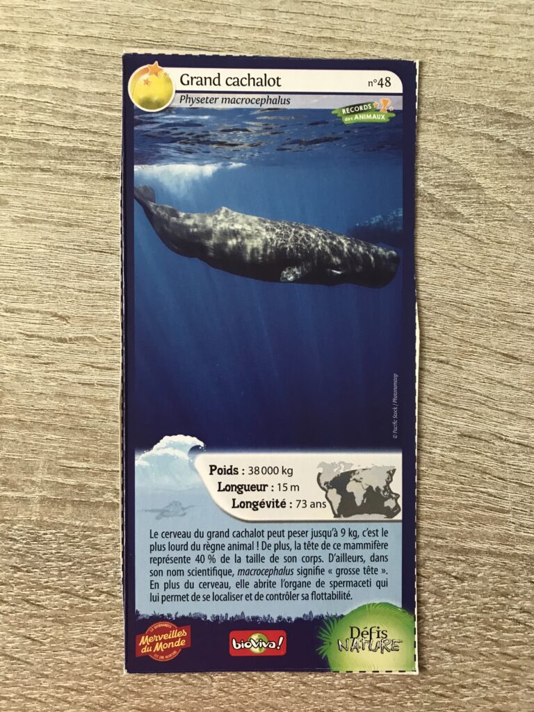 Face de la carte