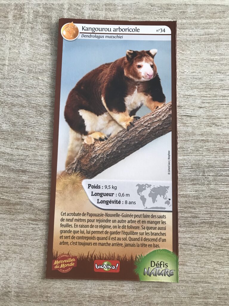 Face de la carte