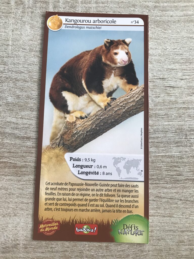Face de la carte
