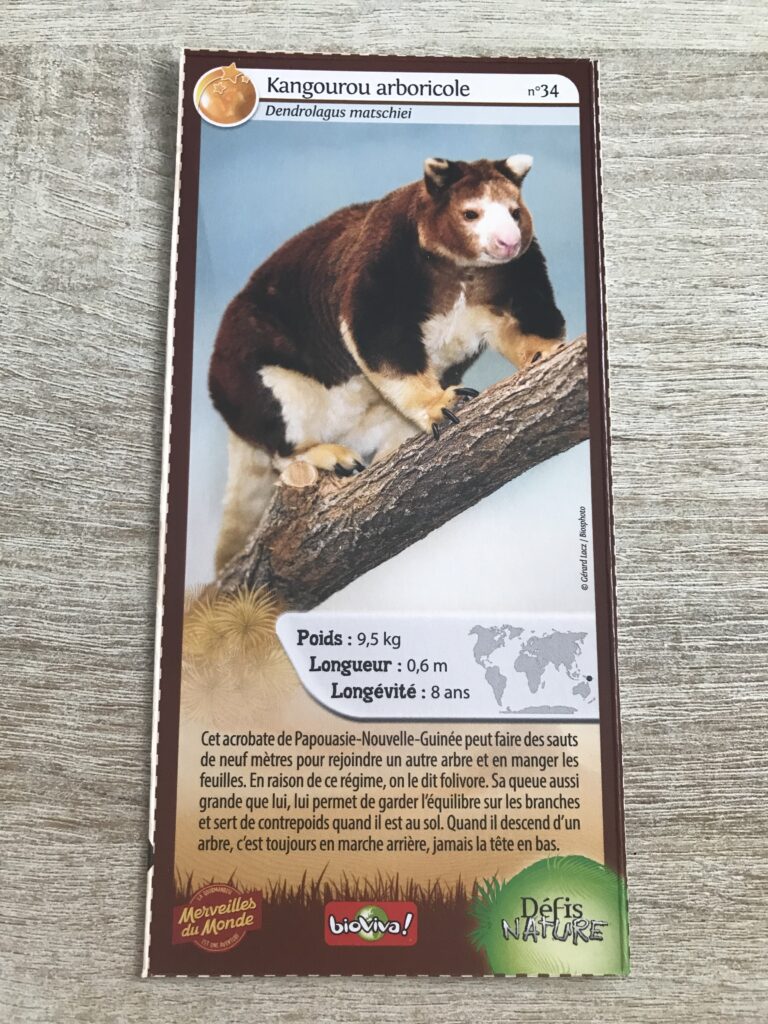 Face de la carte
