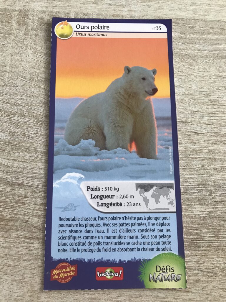 Face de la carte