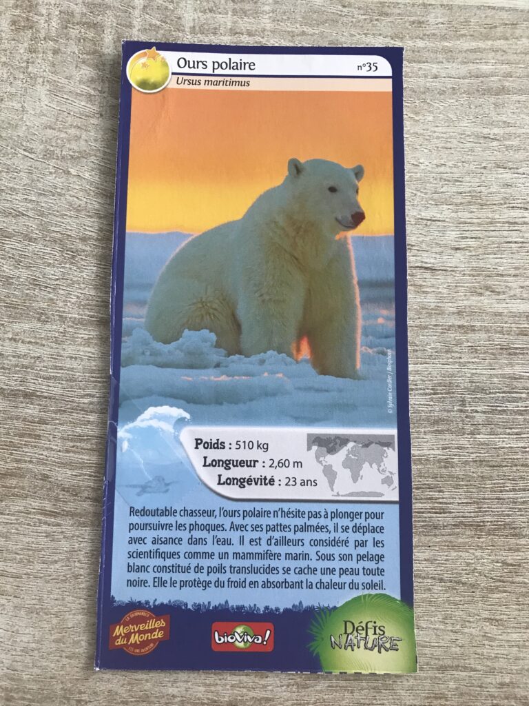 Face de la carte