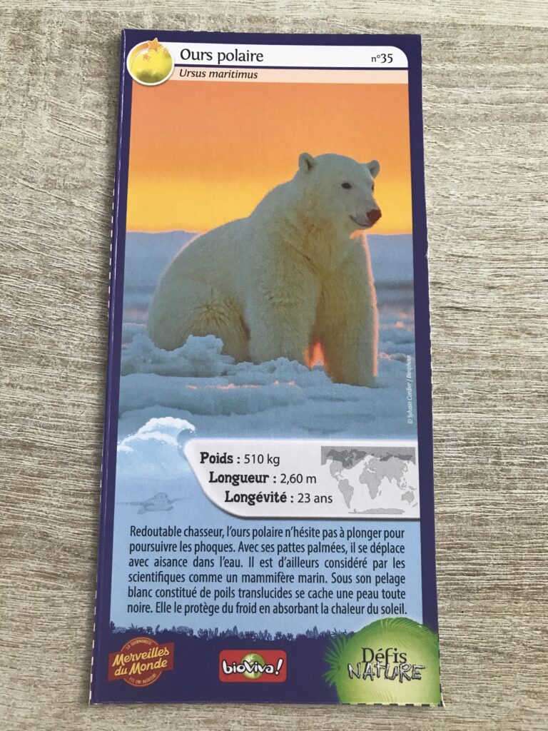 Face de la carte