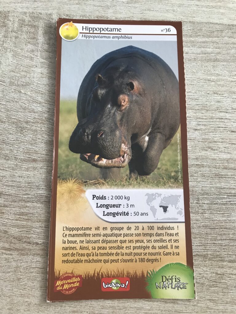 Face de la carte