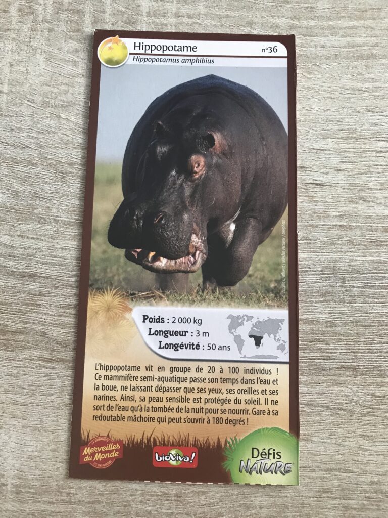 Face de la carte