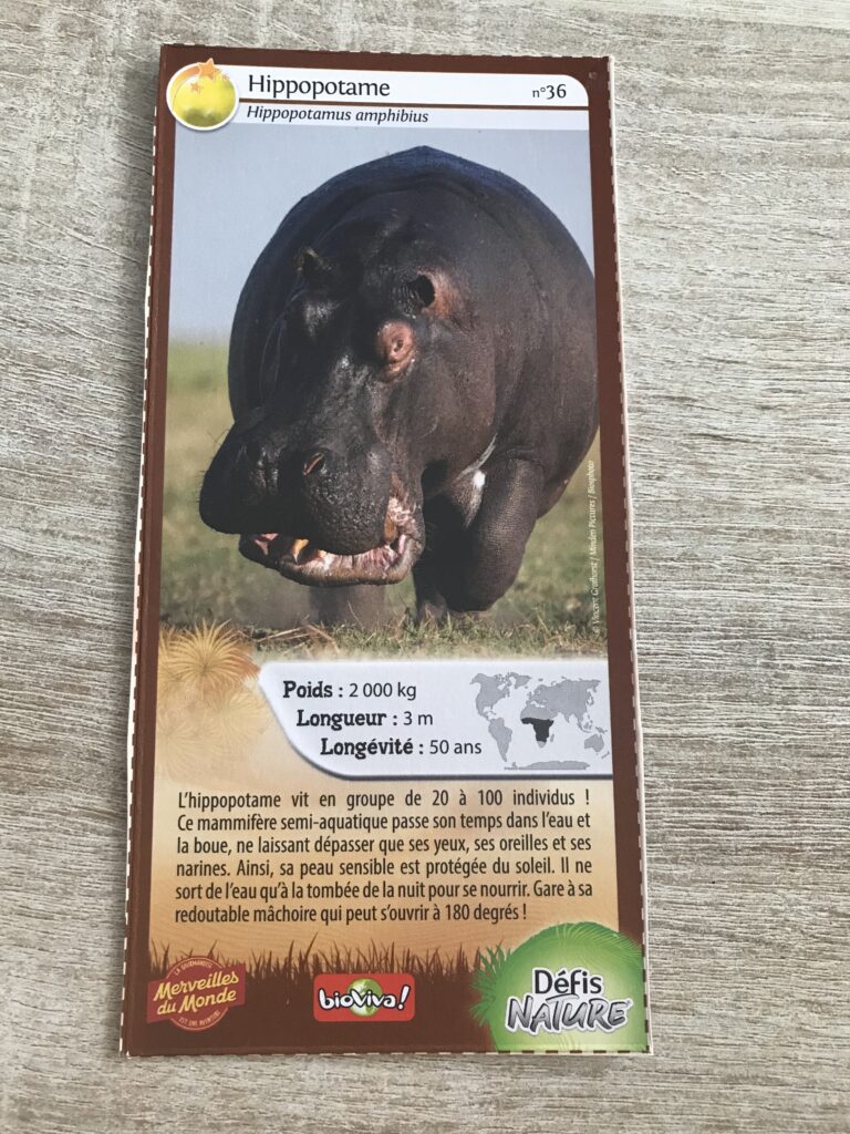 Face de la carte