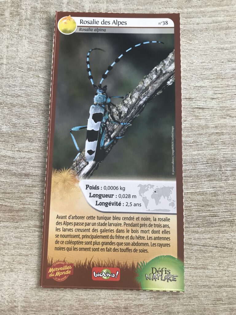 Face de la carte