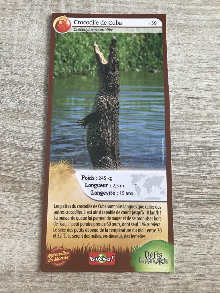 Face de la carte