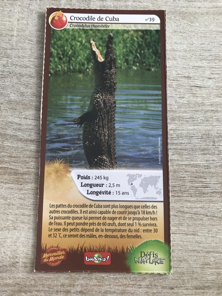 Face de la carte