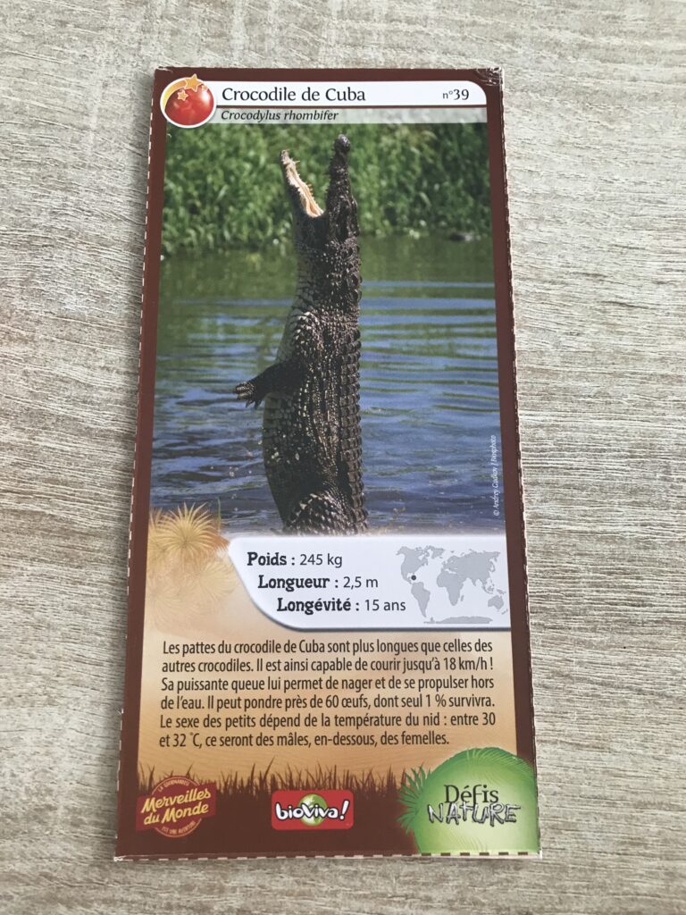 Face de la carte