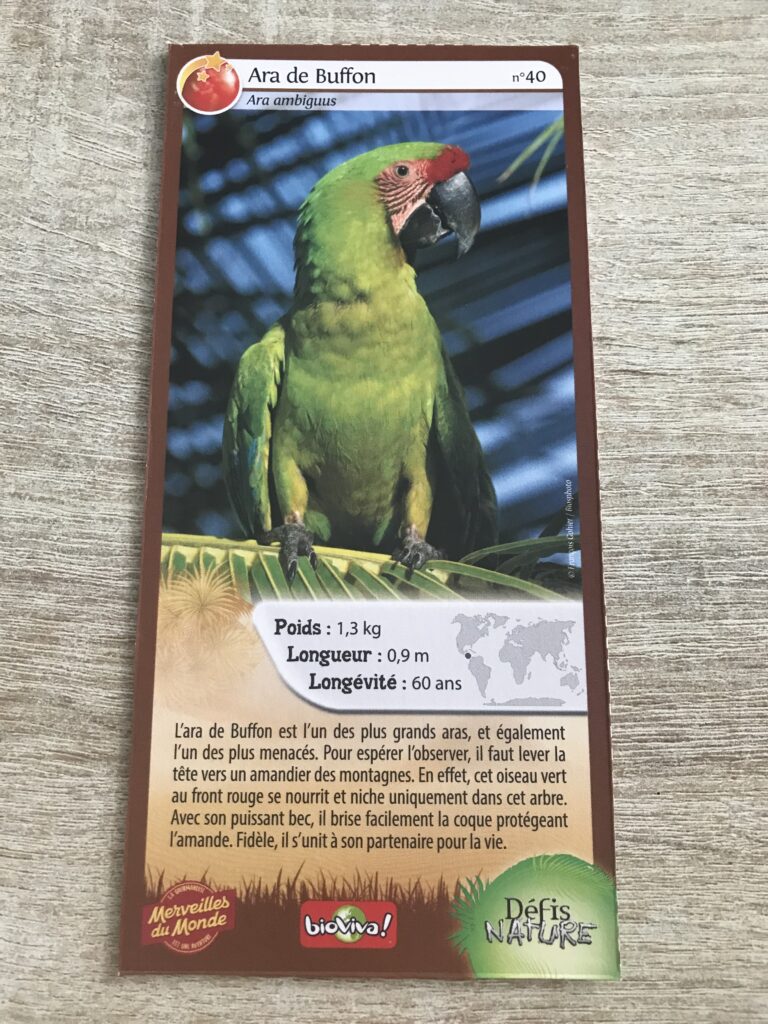 Face de la carte