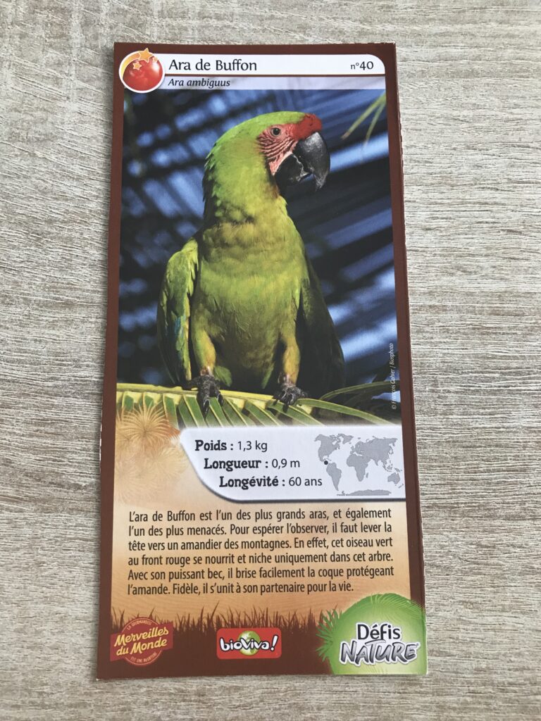 Face de la carte