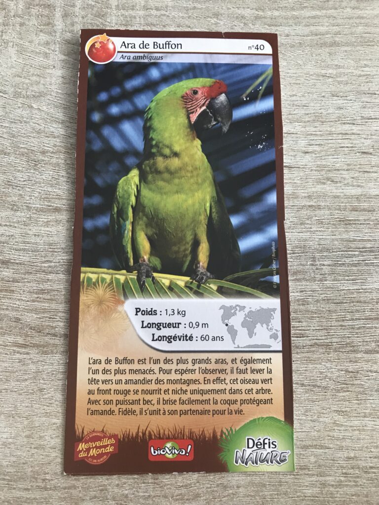 Face de la carte