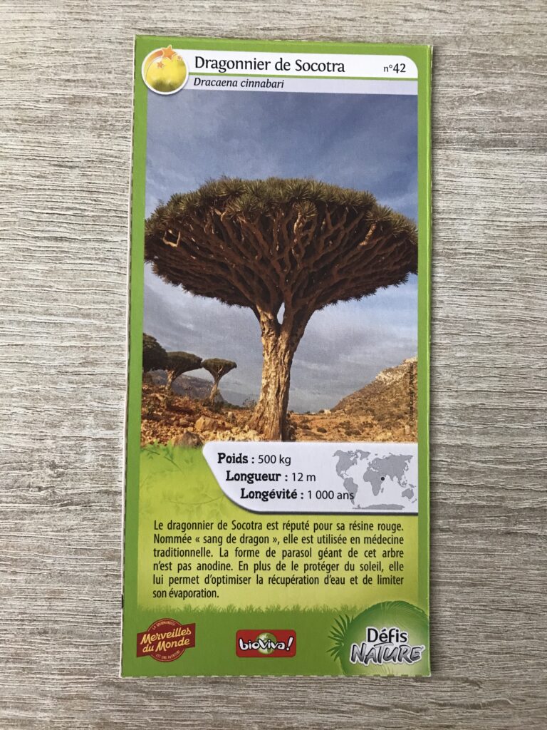 Face de la carte