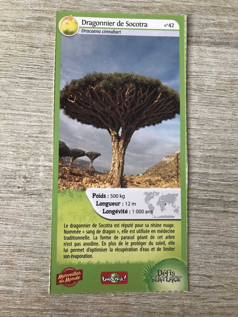 Face de la carte