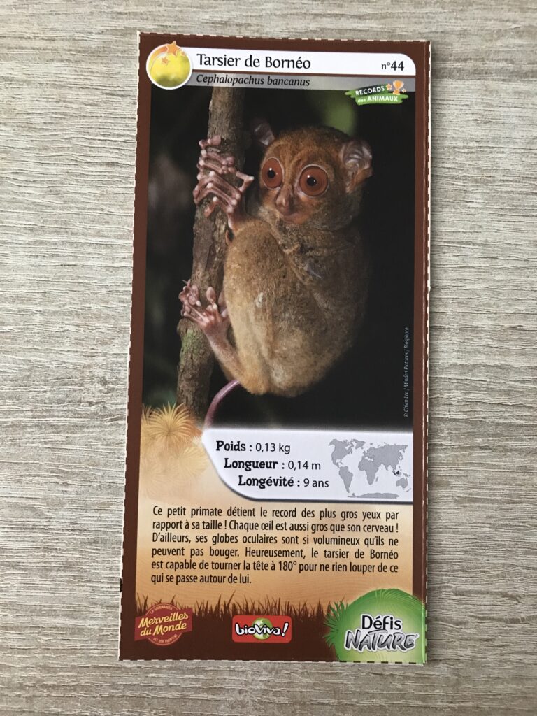 Face de la carte