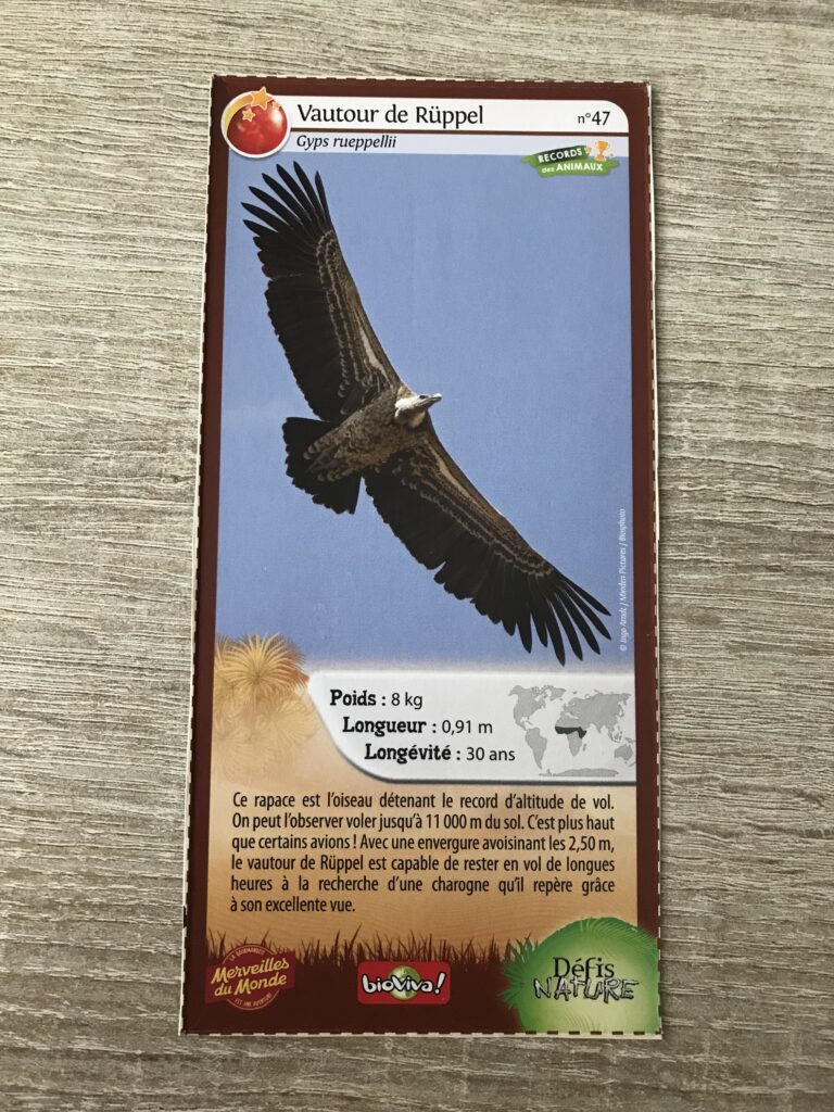 Face de la carte