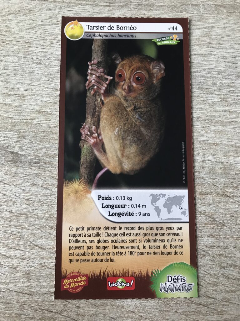 Face de la carte