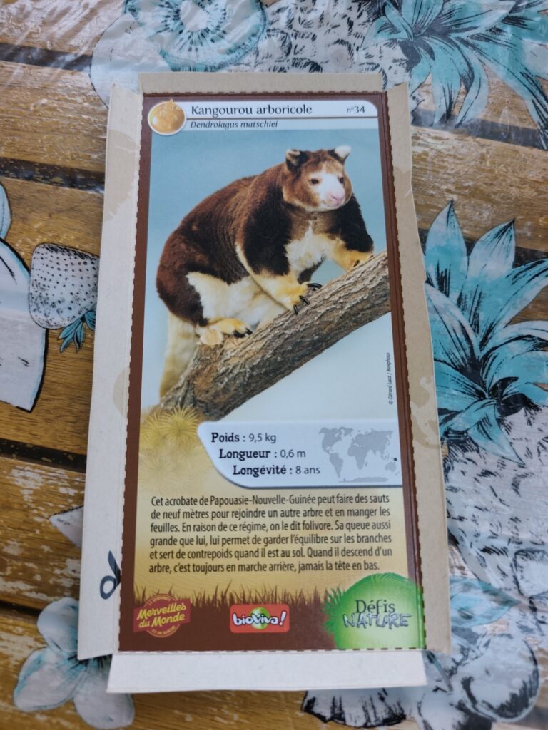 Face de la carte