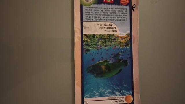 IMG_20260906_205930