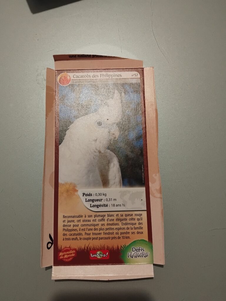 Face de la carte