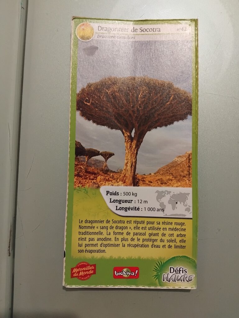 Face de la carte