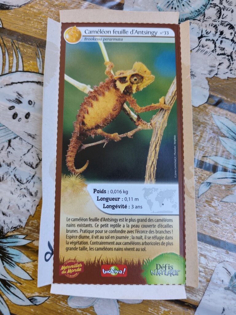 Face de la carte