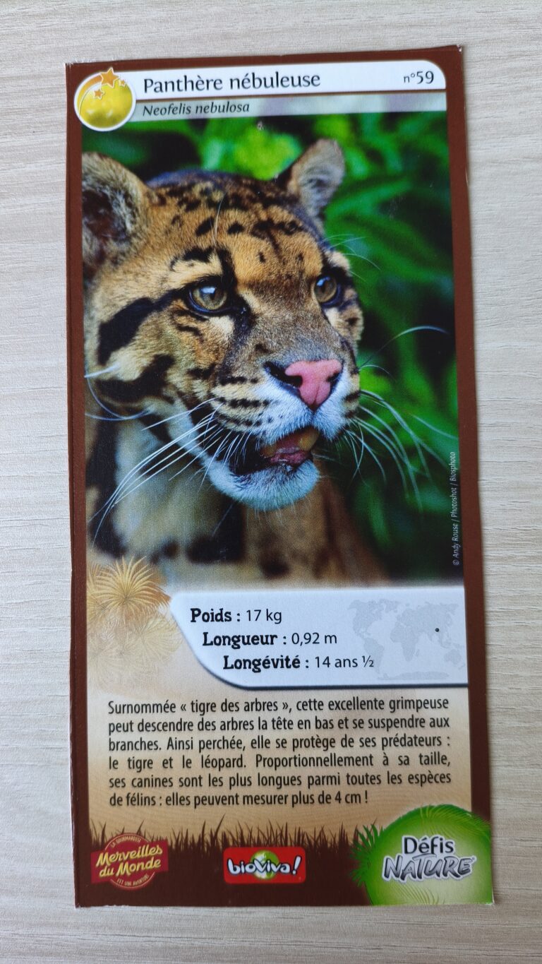 Face de la carte
