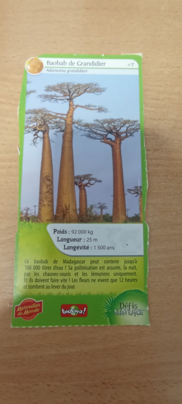 Face de la carte