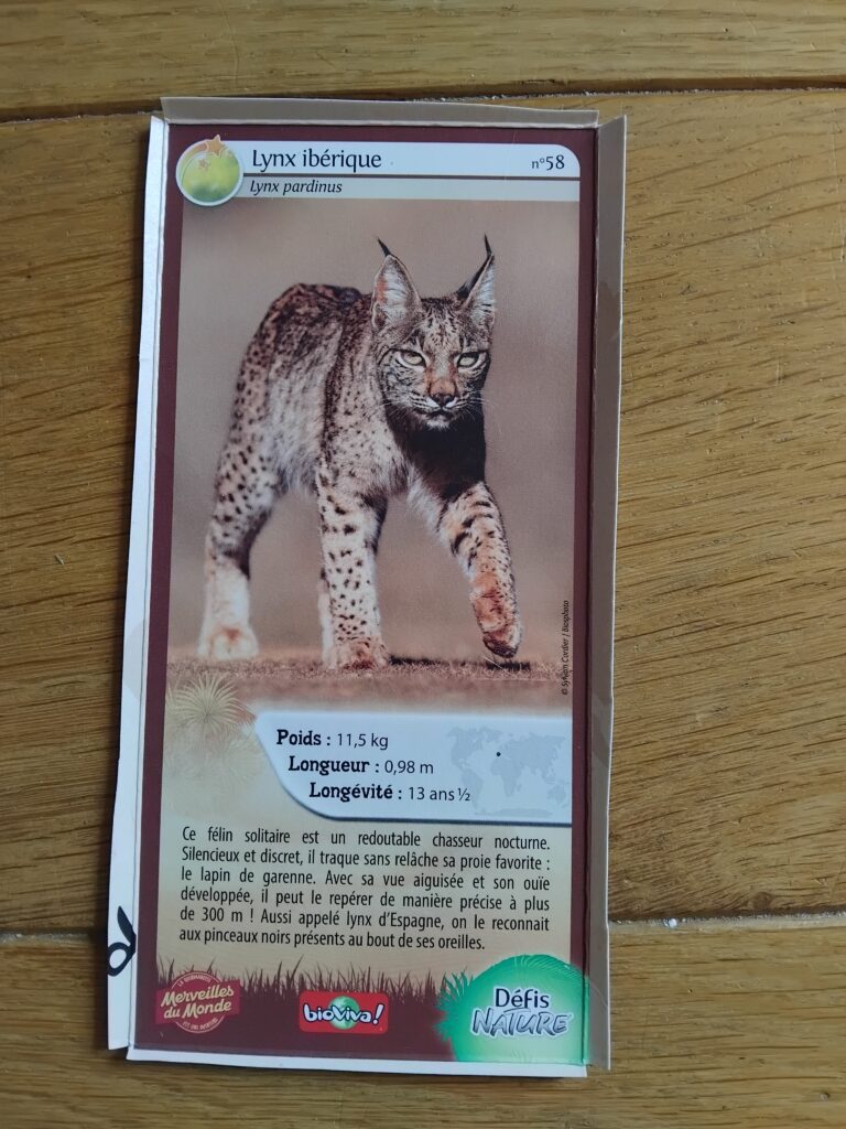 Face de la carte