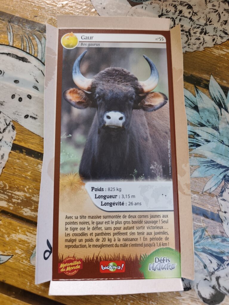 Face de la carte