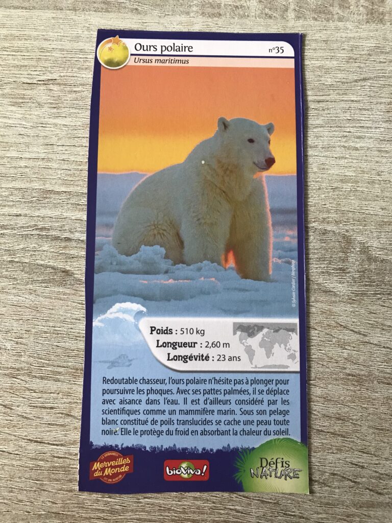 Face de la carte
