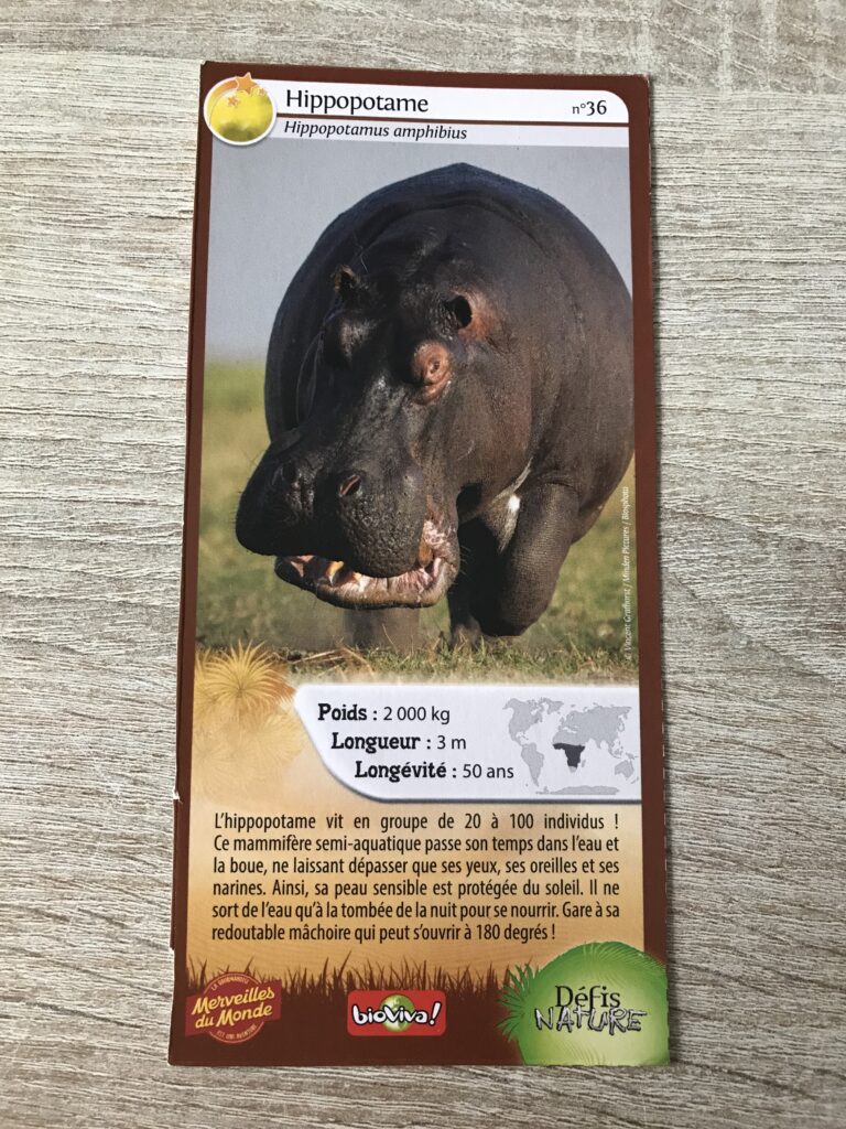 Face de la carte