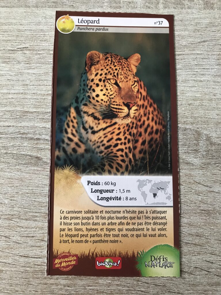Face de la carte