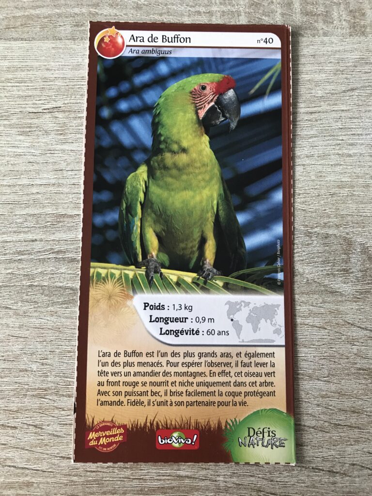 Face de la carte