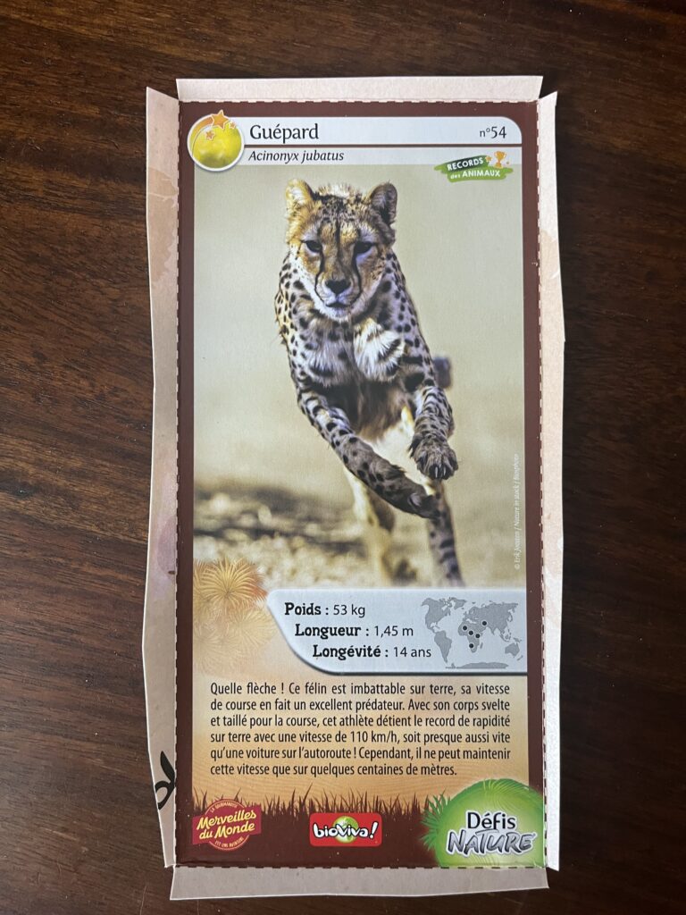 Face de la carte
