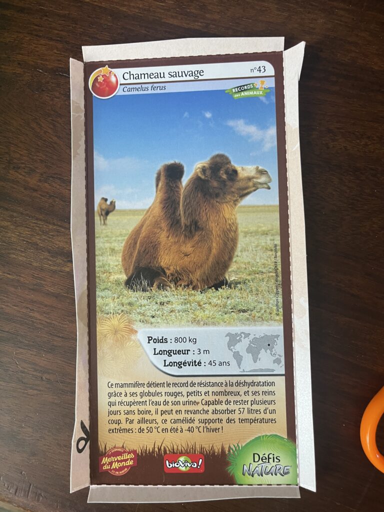 Face de la carte