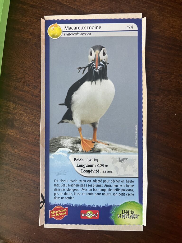 Face de la carte