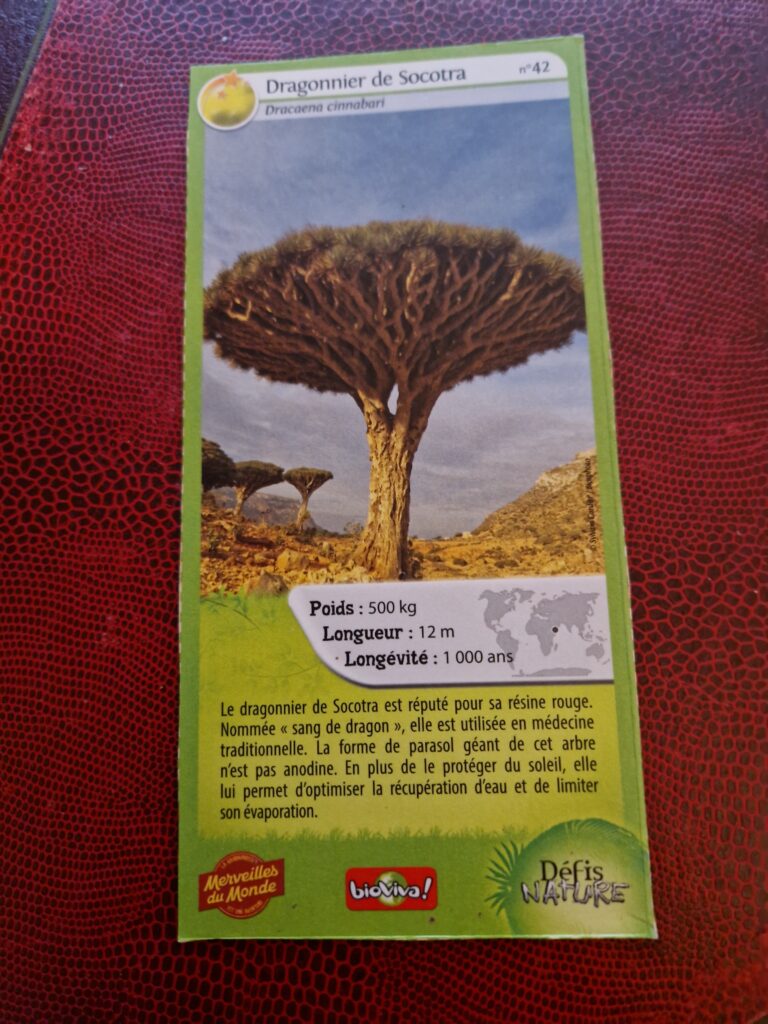 Face de la carte
