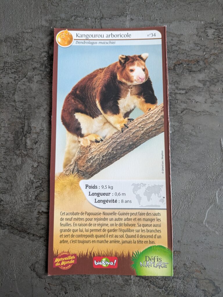 Face de la carte