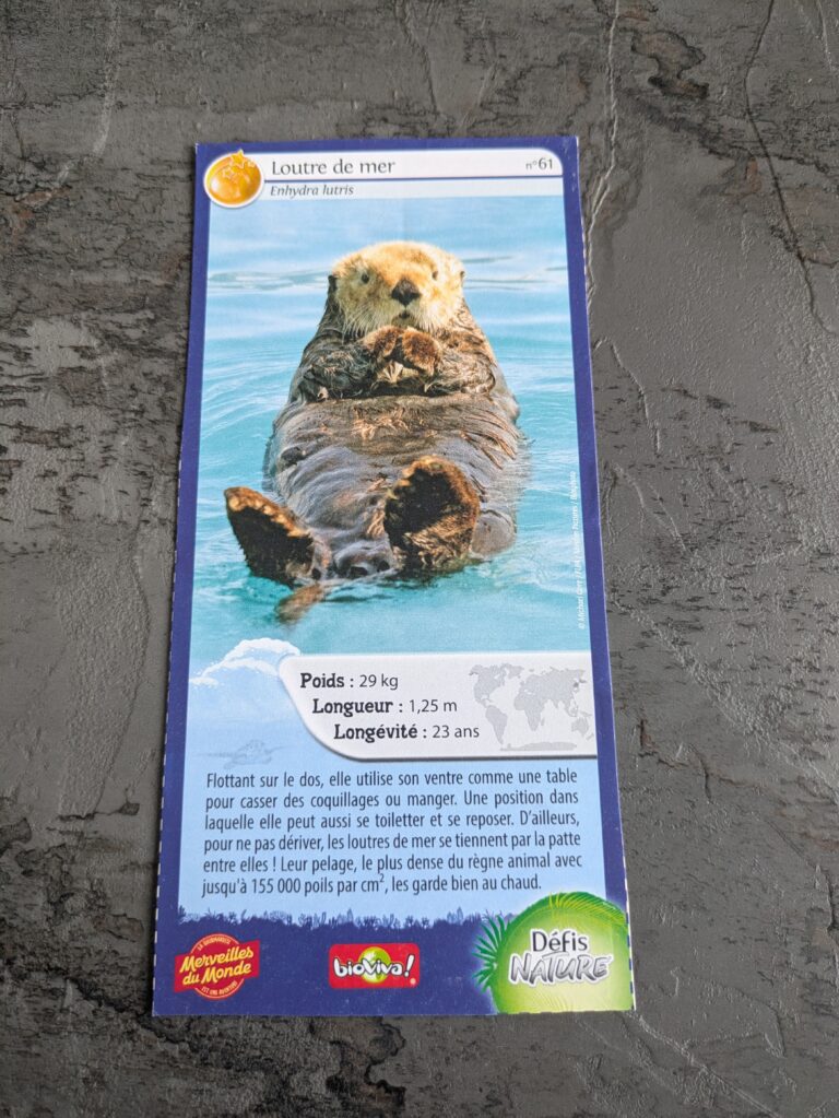 Face de la carte