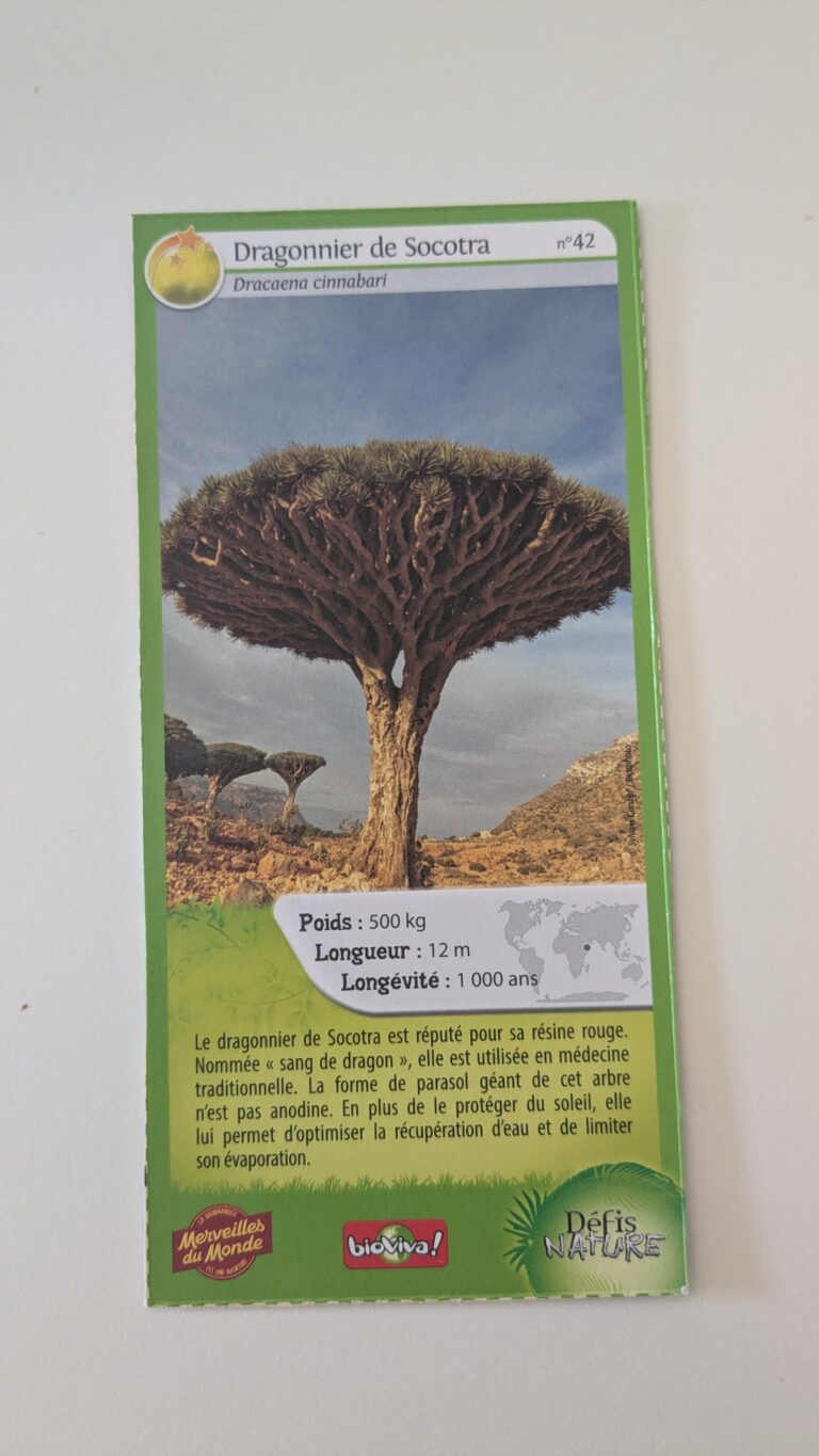 Face de la carte
