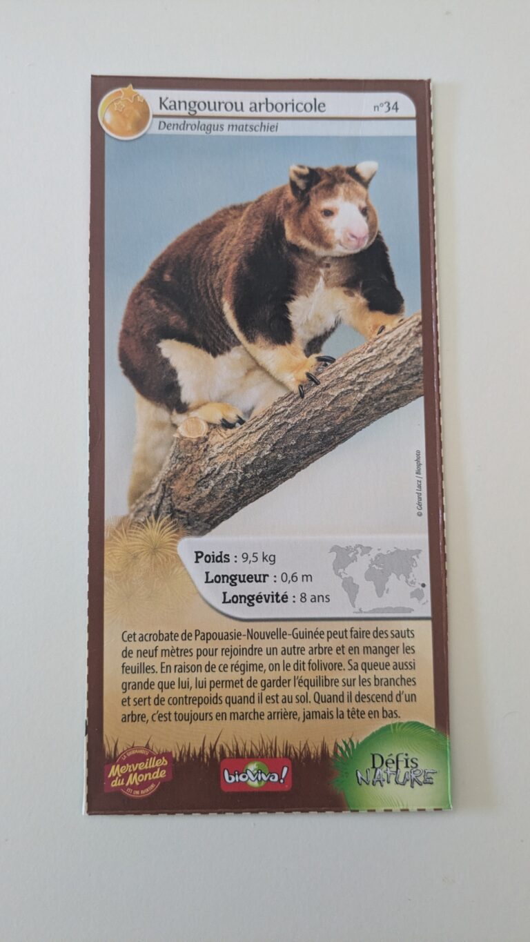 Face de la carte
