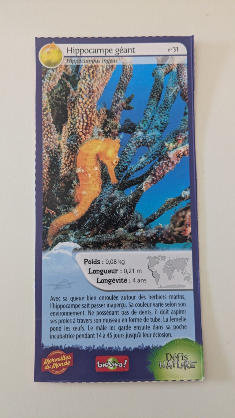 Face de la carte