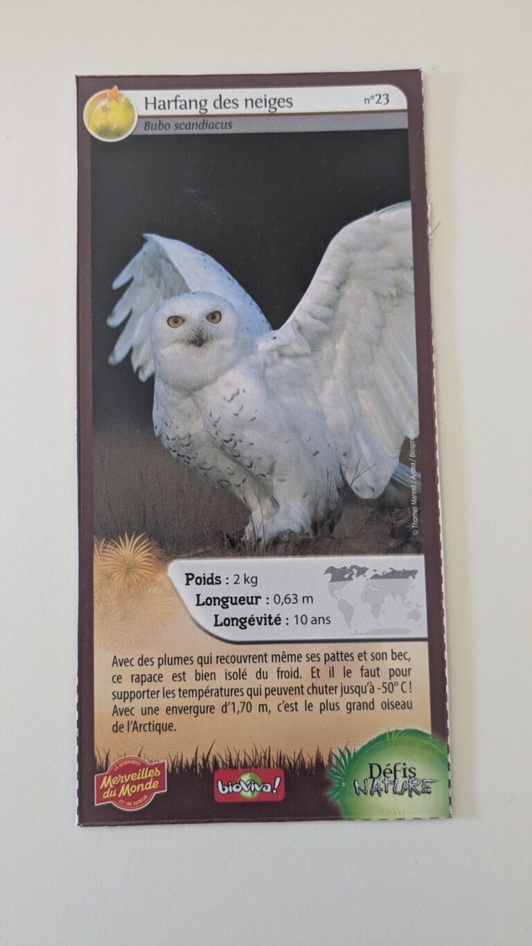 Face de la carte