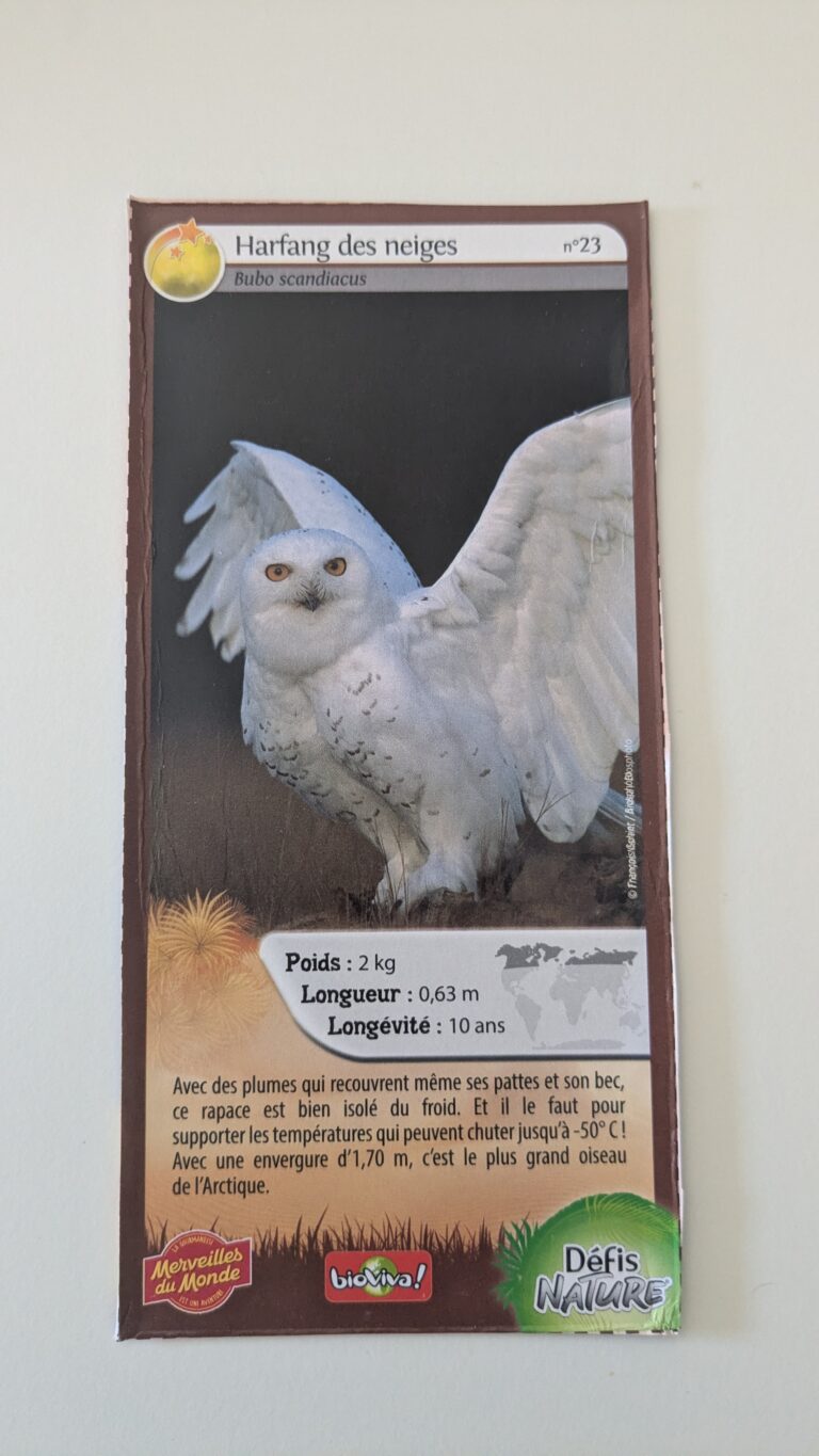 Face de la carte
