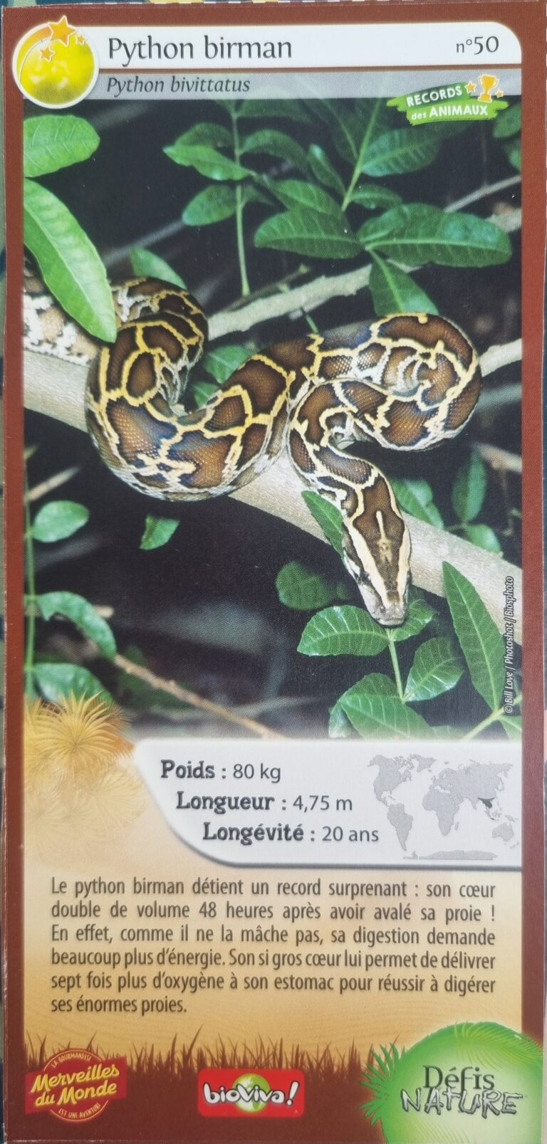 Face de la carte