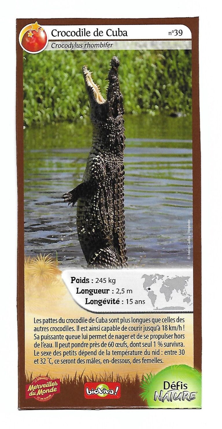Face de la carte
