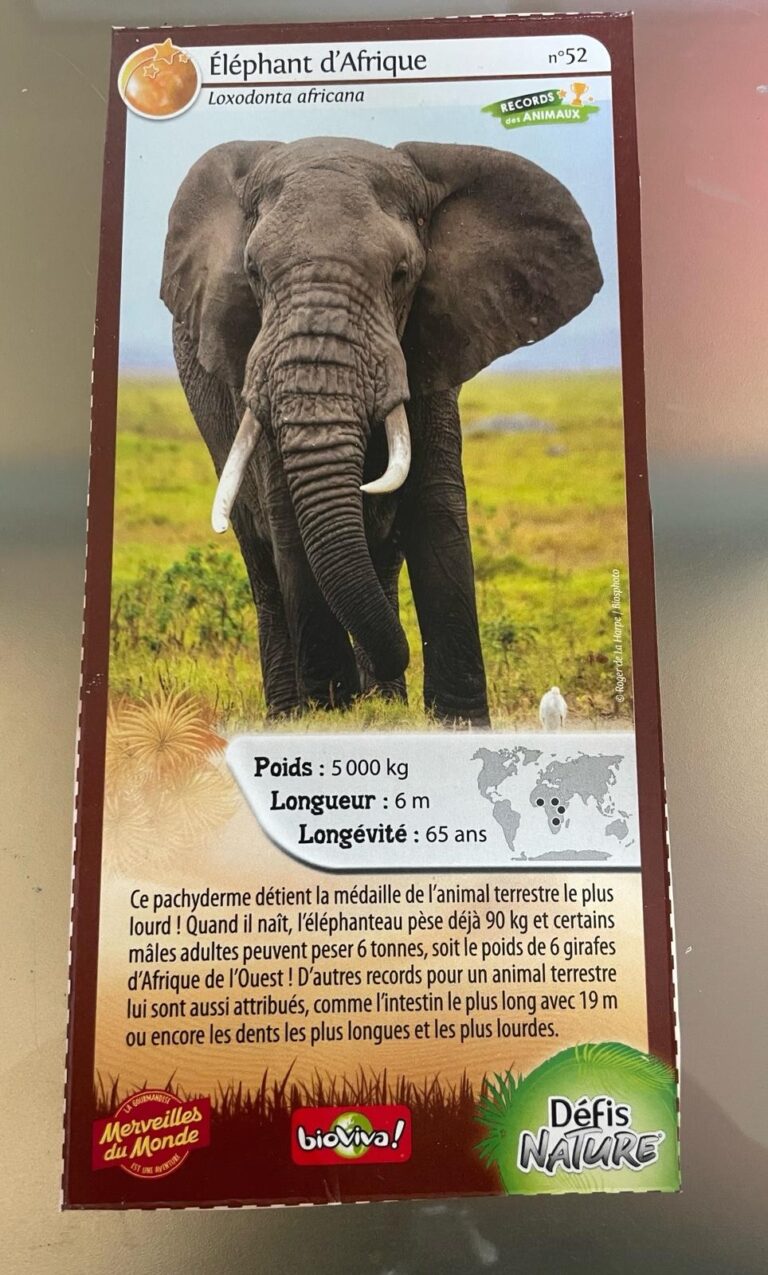 Face de la carte